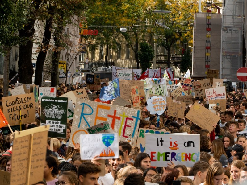 Am I a&nbsp;Parrhesiastes?